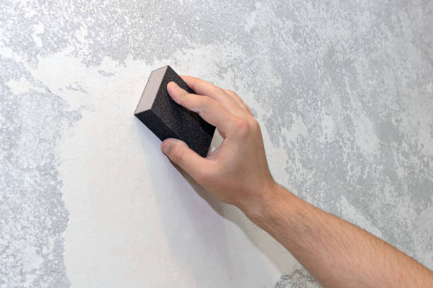 Trusted Lorain, OH Mold Removal Experts