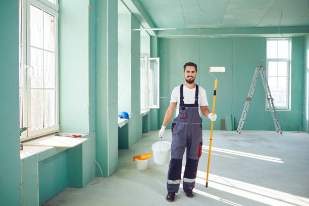 Best Mold Odor Removal Services  in Lorain, OH