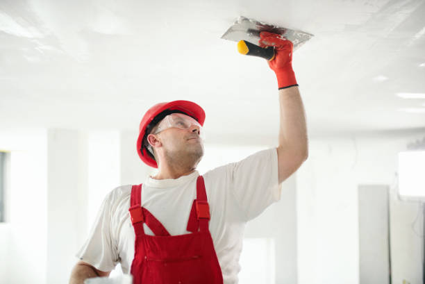 Best Water Damage & Mold Remediation  in Lorain, OH