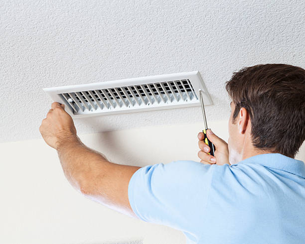 Best Mold-Related Health Consultation  in Lorain, OH