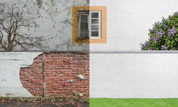 Best Mold Prevention Services  in Lorain, OH